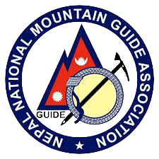 nmmga